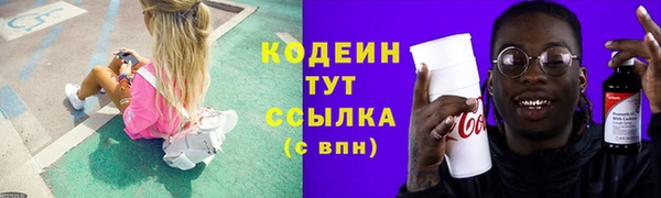 шишки Армянск