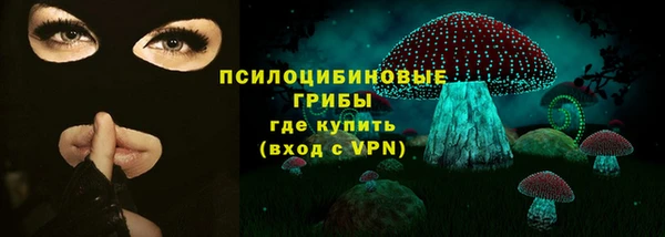 шишки Армянск