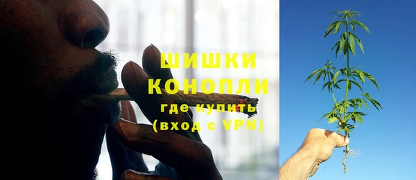 Альфа ПВП Аркадак