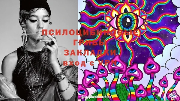 Альфа ПВП Аркадак
