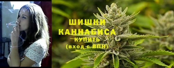 шишки Армянск