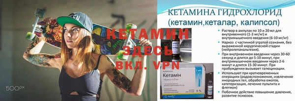 шишки Армянск