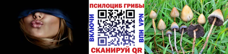 что такое наркотик  Глазов  Галлюциногенные грибы Magic Shrooms 